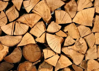 Logs and woodchips
