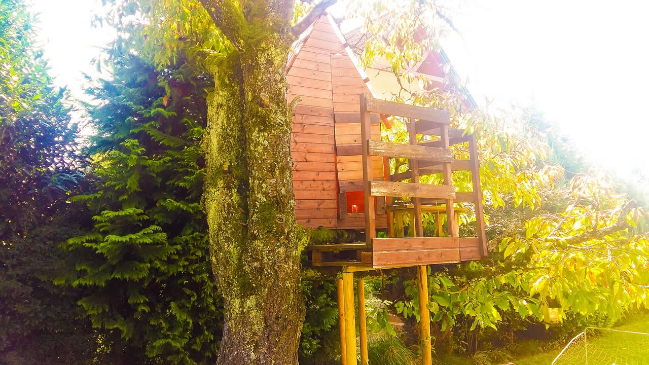 A treehouse on stilts